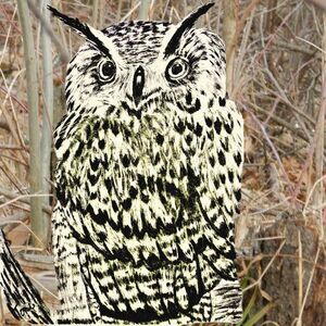 Hand Crafted Horned Owl Framed Art Print Drawing Birds 8x10 Wall Picture